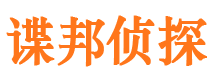 新市市私人调查